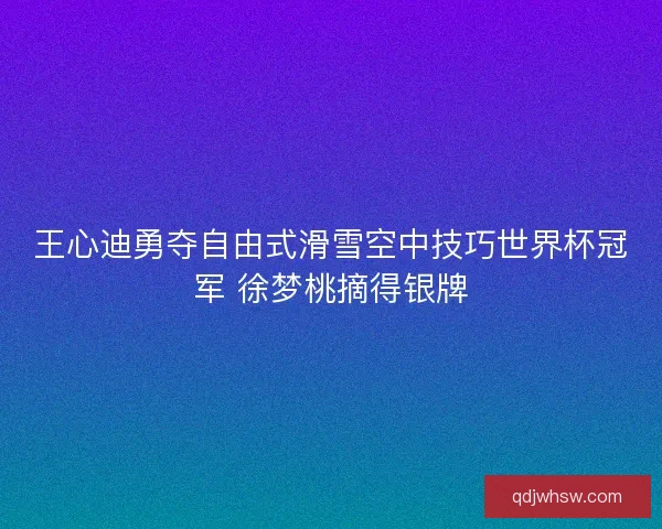 王心迪勇夺自由式滑雪空中技巧世界杯冠军 徐梦桃摘得银牌
