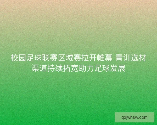 校园足球联赛区域赛拉开帷幕 青训选材渠道持续拓宽助力足球发展