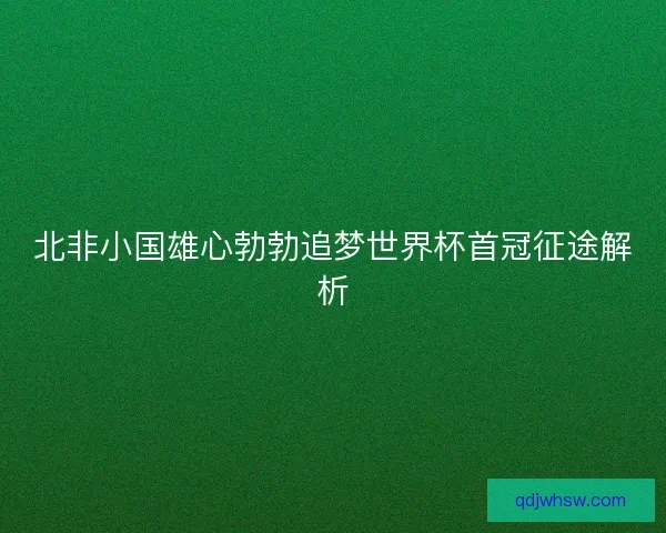 北非小国雄心勃勃追梦世界杯首冠征途解析
