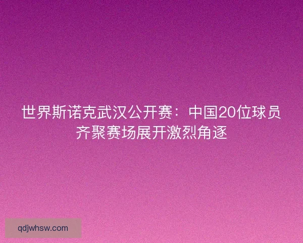 世界斯诺克武汉公开赛：中国20位球员齐聚赛场展开激烈角逐