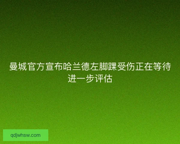 曼城官方宣布哈兰德左脚踝受伤正在等待进一步评估